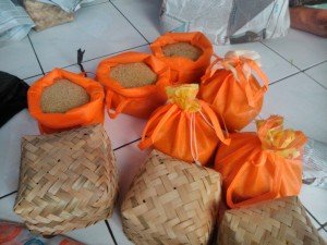 Jual Bibit Jangkrik Berkualitas