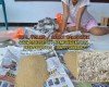 Jual telur jangkrik alam dan kalung. warna hitam kalung, warna coklat alam