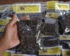 JUAL JANGKRIK KERING SUPER
