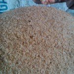 Jual Telur Jangkrik Bagus Siap Kirim
