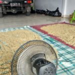 Harga Telur Jangkrik Kalung – Silahkan Hubungi 085646415014