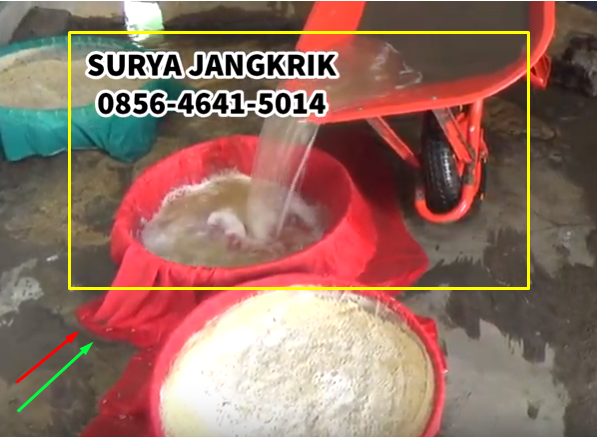 Cara beternak telur jangkrik 085646415014