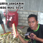 Makanan Jangkrik Yang Berkualitas