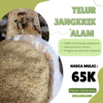Membuat Kandang Jangkrik yang Optimal: Desain dan Material