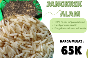 Mencegah Penyakit pada Jangkrik: Tips dan Trik