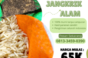 Panen Jangkrik yang Tepat: Cara dan Waktu yang Ideal