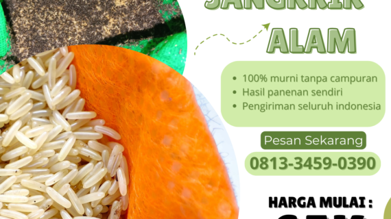 Panen Jangkrik yang Tepat: Cara dan Waktu yang Ideal